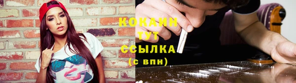 индика Покачи