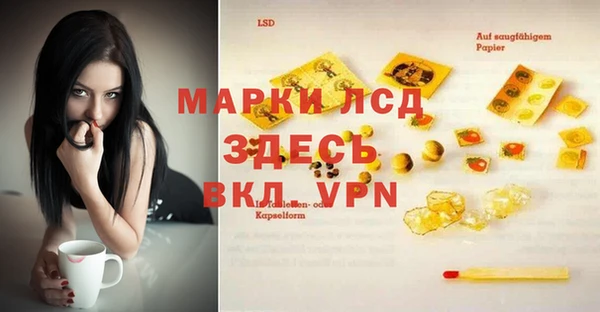 индика Покачи