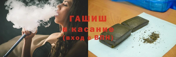 индика Покачи