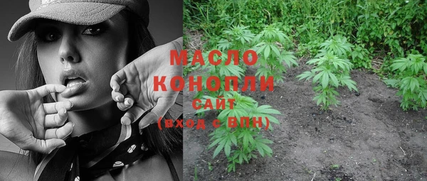 индика Покачи