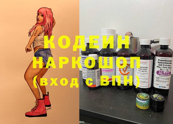 индика Покачи