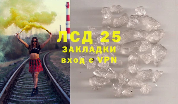 индика Покачи