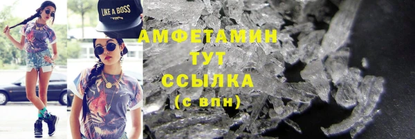 индика Покачи