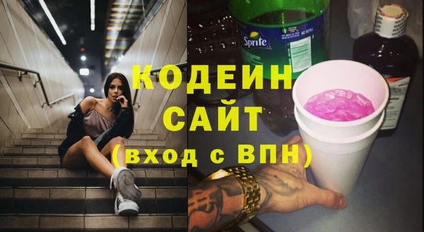 индика Покачи