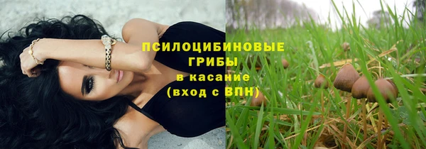 индика Покачи