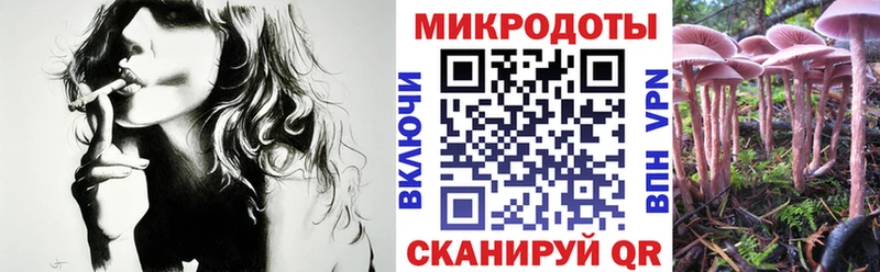 Псилоцибиновые грибы Psilocybine cubensis  дарнет шоп  Химки 