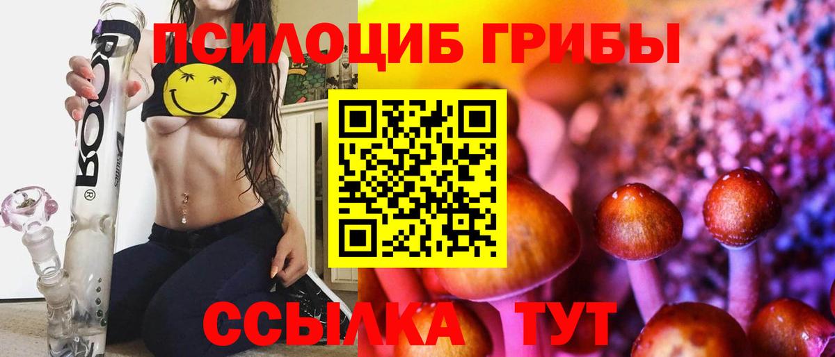 цены наркотик  Псилоцибиновые грибы Magic Shrooms  Вход с VPN  Химки 