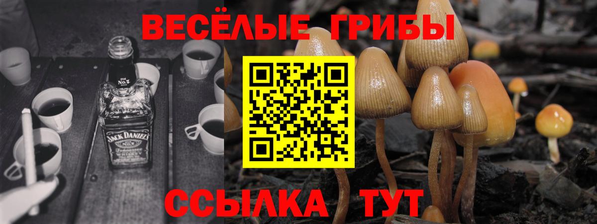 Галлюциногенные грибы MAGIC MUSHROOMS Химки