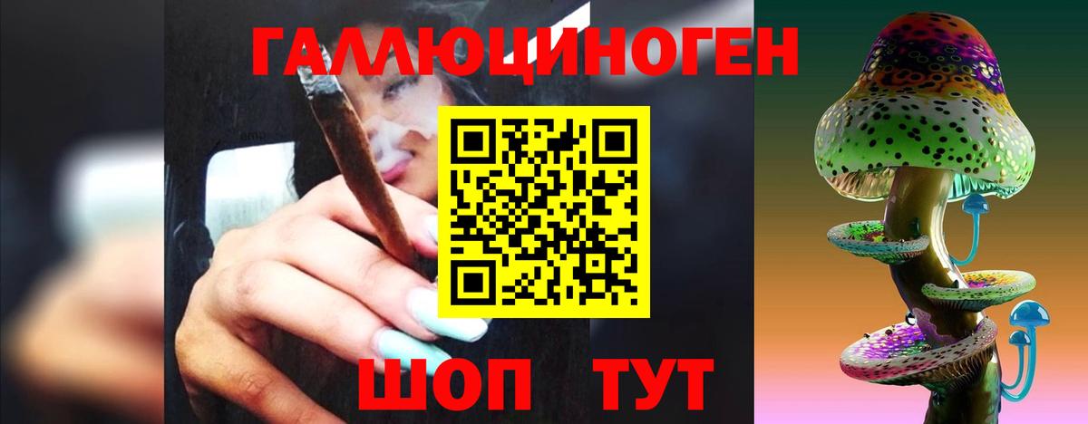 Галлюциногенные грибы мухоморы Химки