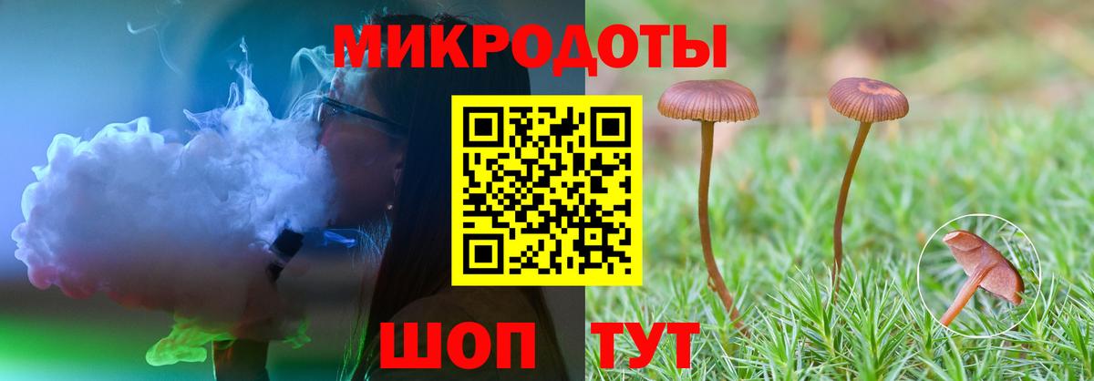 МЕФ Химки