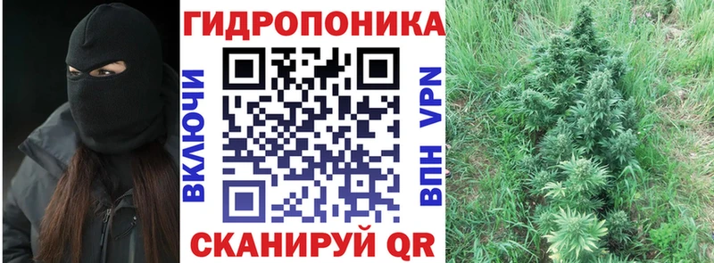 где продают   маркетплейс как зайти  Каннабис MAZAR  Химки 